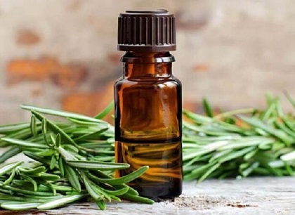 تصویر 2 از قیمت اسانس گیاهی رزماری + خرید باور نکردنی